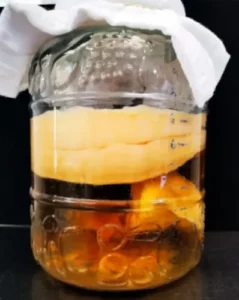 Cómo preparar Kombucha