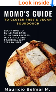 Momo's Guide to Gluten Free and Vegan Sourdough Preview cover