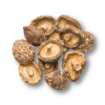 Shiitake